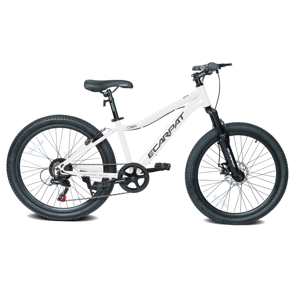 24 Inch Youth Mountain Bike wi - đánh giá và giá Mountain Biking Youth